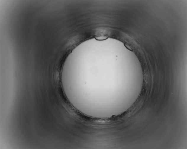 X0000088390375200705220806