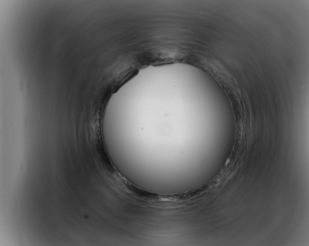 X0000088390376200705220806