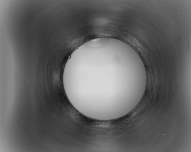 X0000088390377200705220806