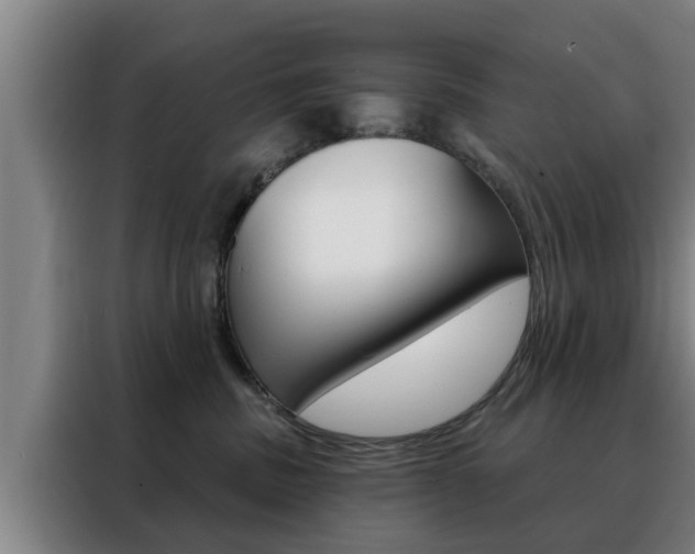 X0000088390379200705220806