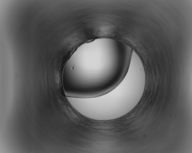 X0000088390380200705220806