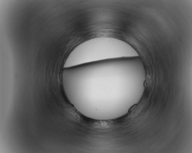 X0000088390381200705220806