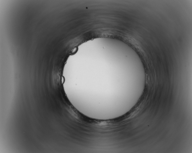 X0000088390382200705220806