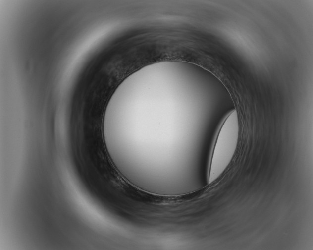 X0000088390383200705220806