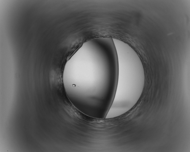 X0000088390384200705220806