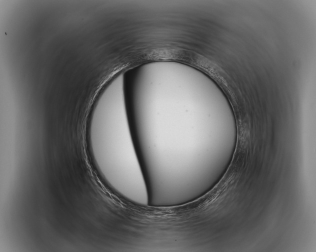 X0000088390386200705220805