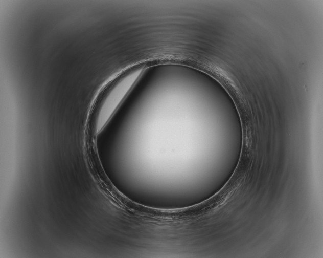 X0000088390388200705220805