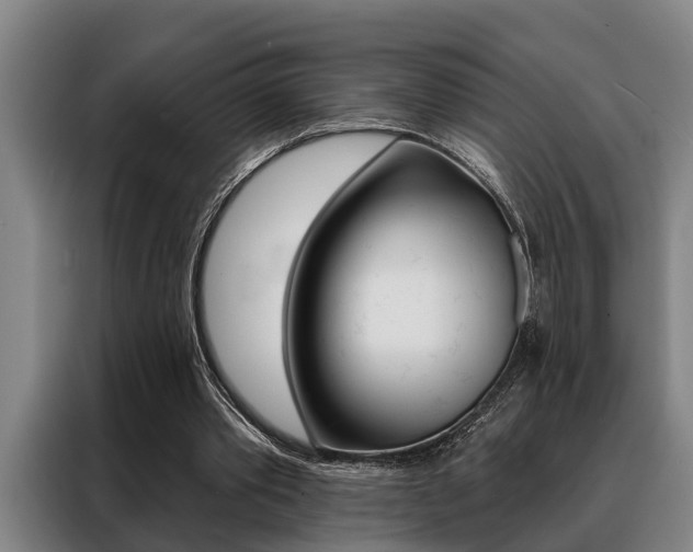 X0000088390389200705220805