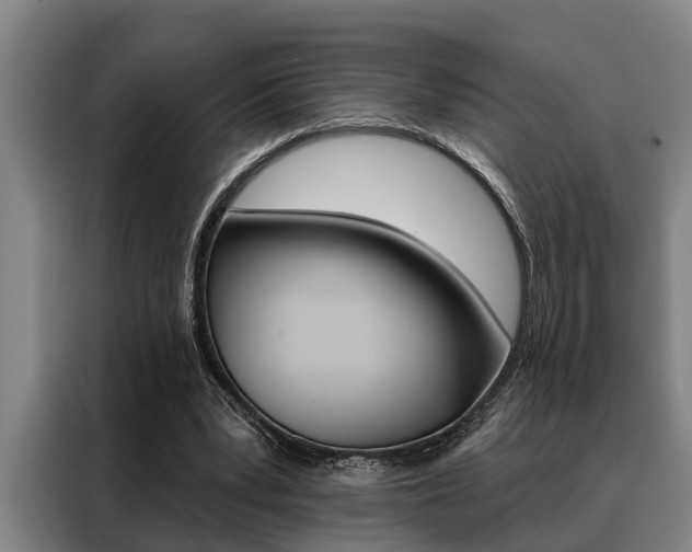 X0000088390391200705220805