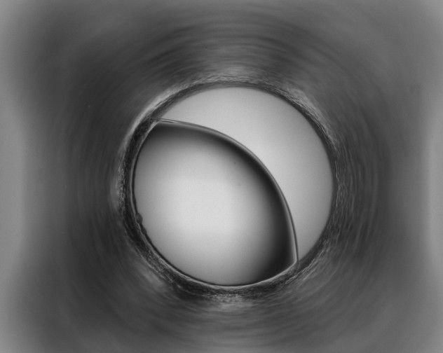 X0000088390392200705220805