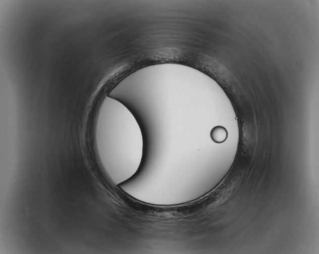 X0000088390396200705220805