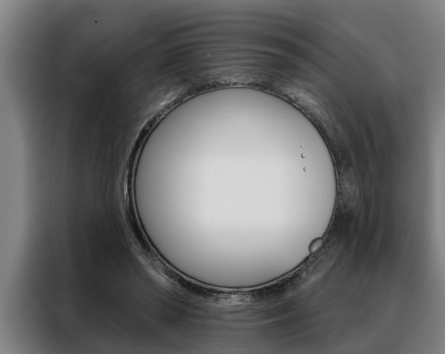 X0000088390398200705220805