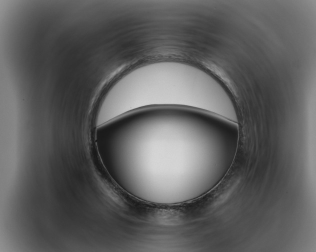 X0000088390399200705220805