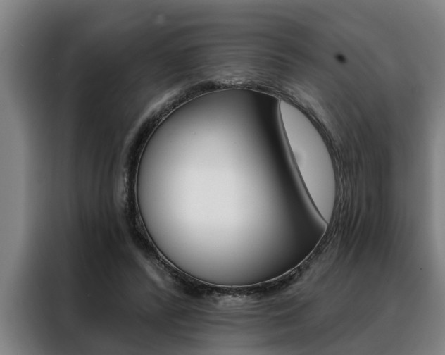 X0000088390400200705220805