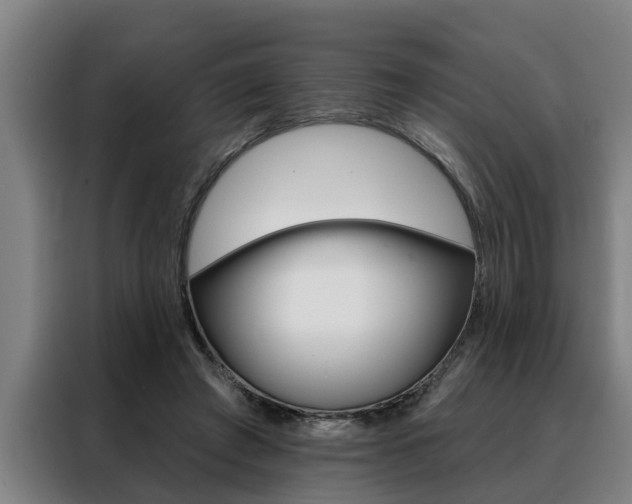 X0000088390401200705220805