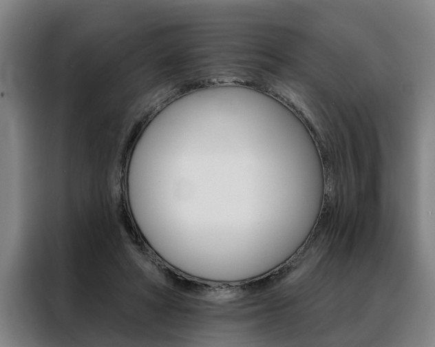 X0000088390402200705220805