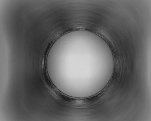 X0000088390406200705220805