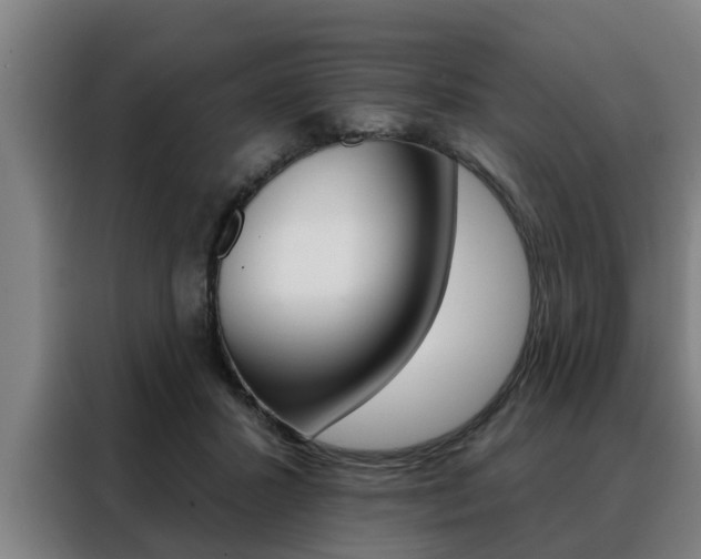 X0000088390407200705220805