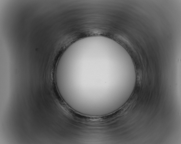 X0000088390410200705220805