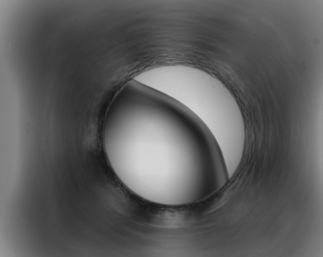 X0000088390416200705220805