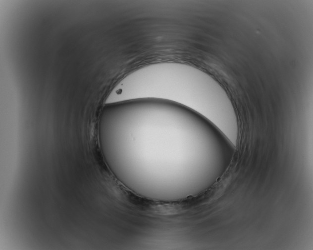 X0000088390417200705220805