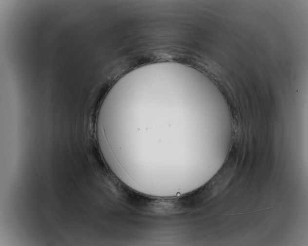 X0000088390418200705220805