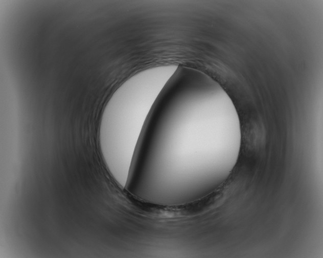 X0000088390420200705220805