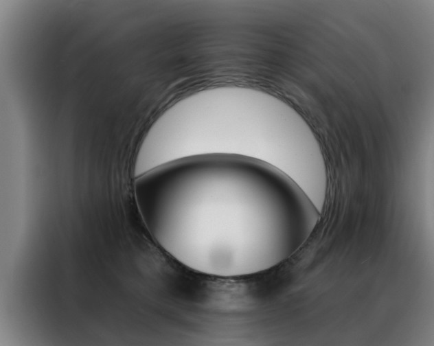 X0000088390421200705220805