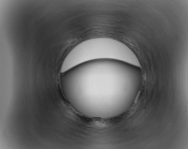 X0000088390423200705220805