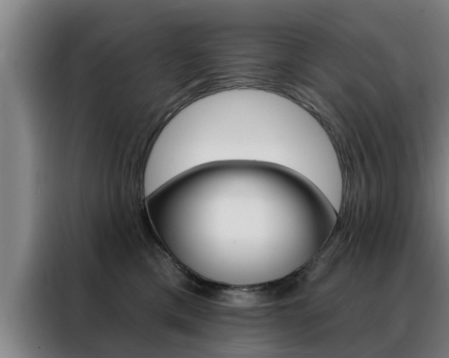 X0000088390425200705220805