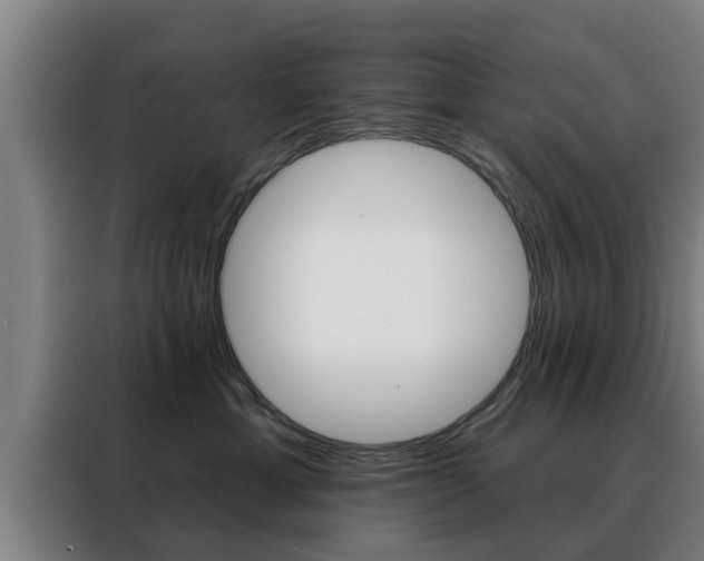 X0000088390429200705220805