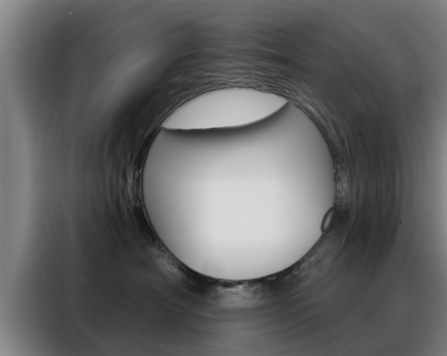 X0000088390430200705220805