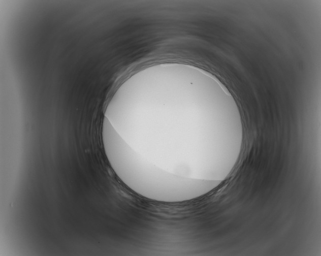 X0000088390431200705220805