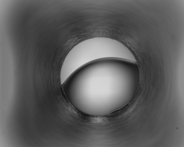 X0000088390432200705220805