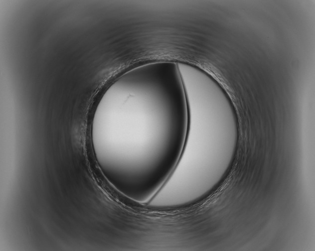 X0000088390434200705220804