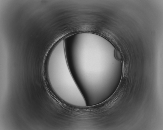 X0000088390435200705220804