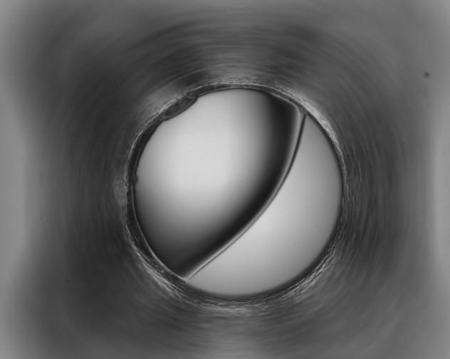 X0000088390437200705220804