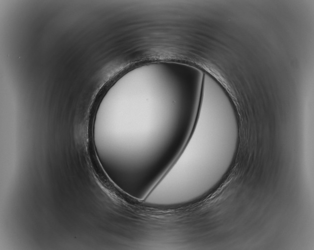 X0000088390438200705220804