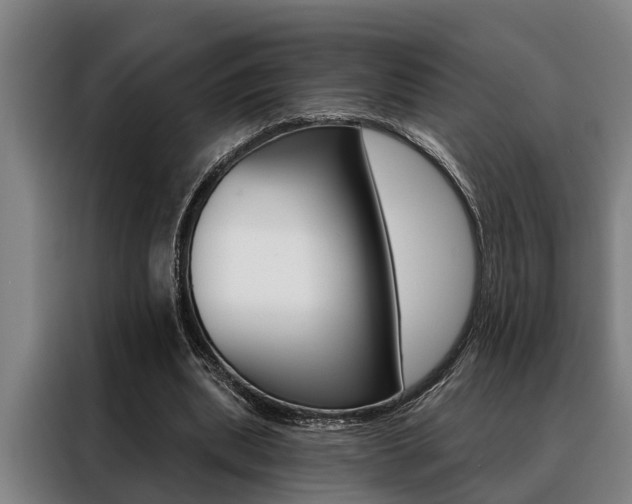 X0000088390439200705220804