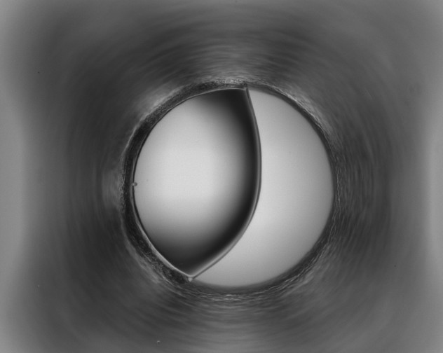 X0000088390440200705220804