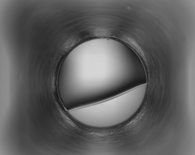 X0000088390441200705220804