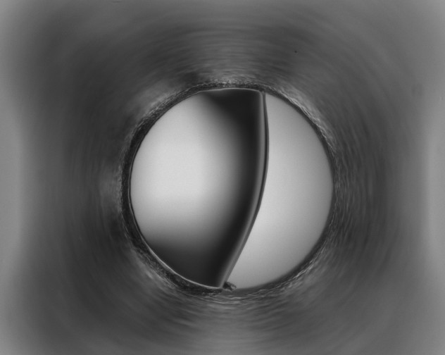 X0000088390442200705220804