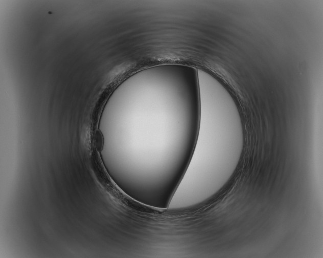 X0000088390444200705220804