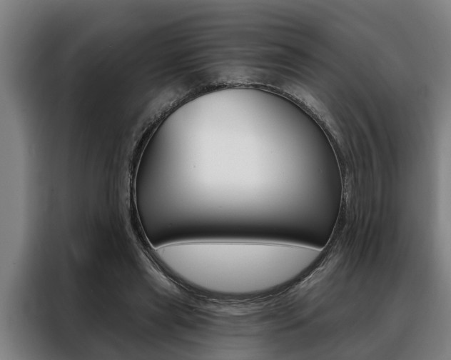 X0000088390445200705220804