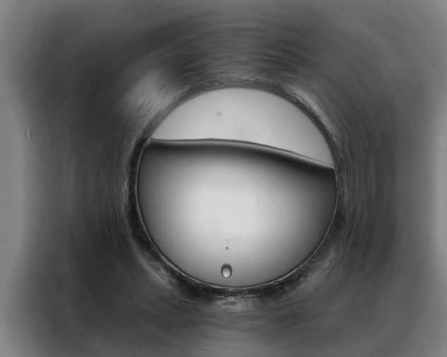 X0000088390447200705220804