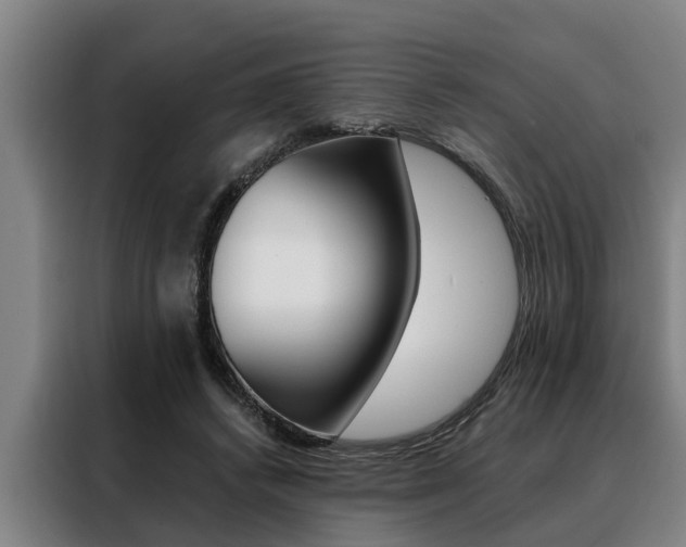 X0000088390448200705220804