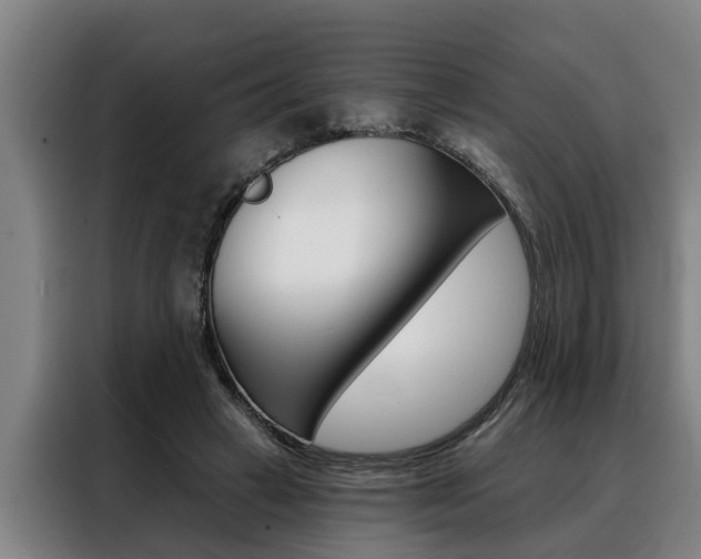 X0000088390449200705220804