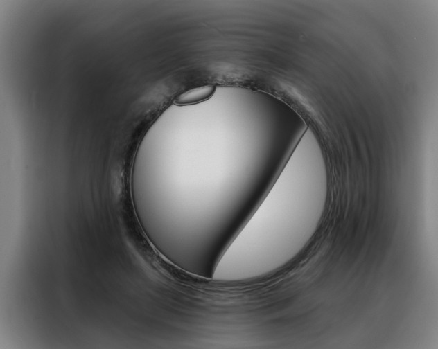 X0000088390451200705220804