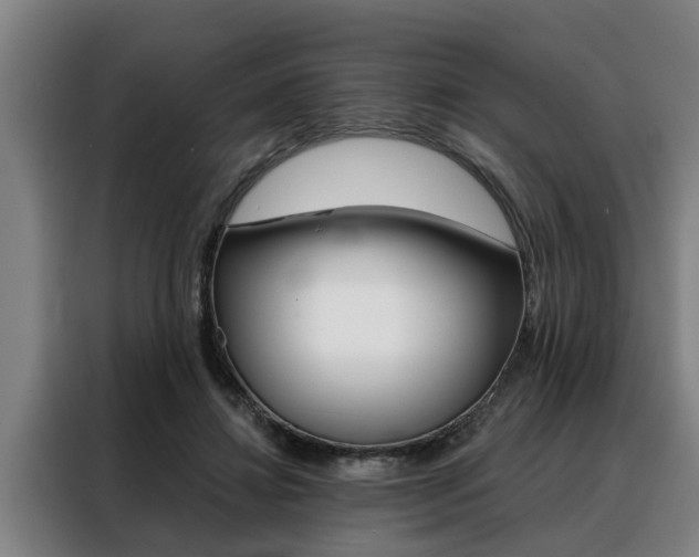 X0000088390452200705220804