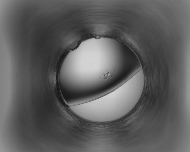 X0000088390454200705220804